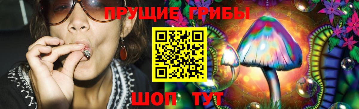 Галлюциногенные грибы мицелий  Псилоцибиновые грибы мицелий  Северск  Вход с VPN 